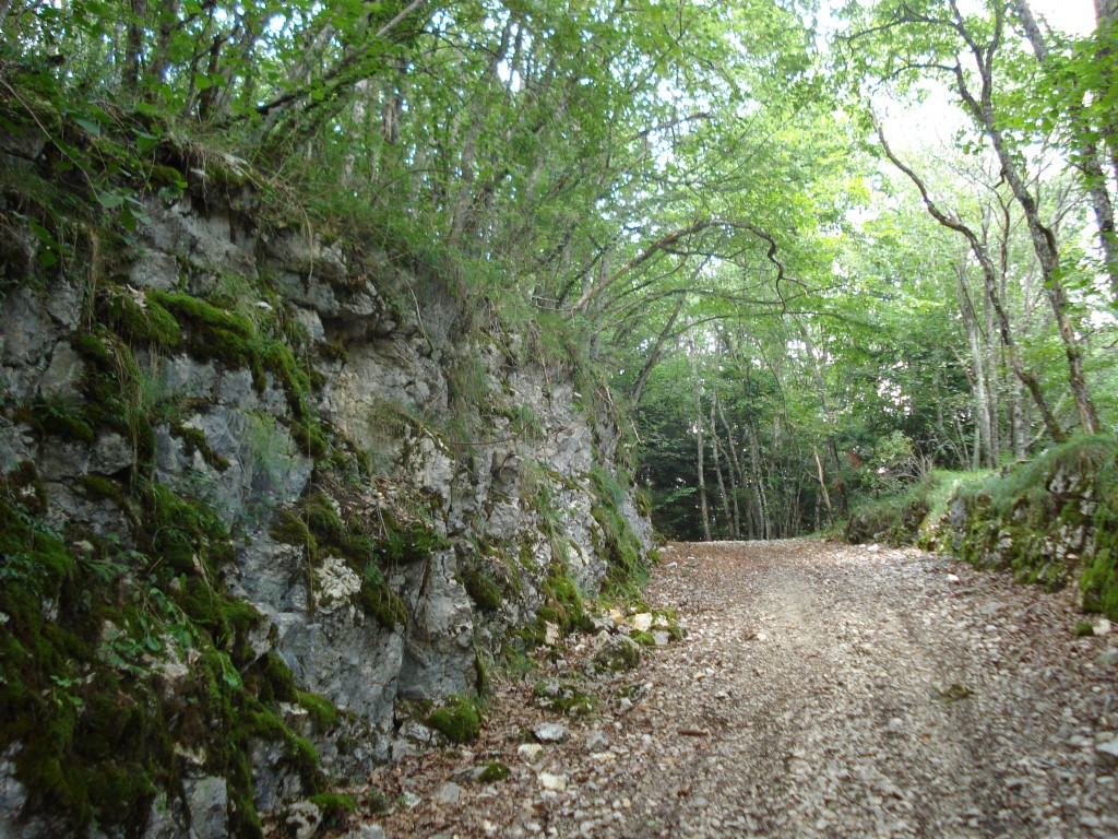 Les murs pierre à pierre bordent l'ancienne voie