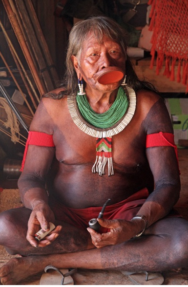 Le chef Raoni Metuktire, des principaux opposants à la déforestation de la forêt amazonienne. D.Schweizer/Meg